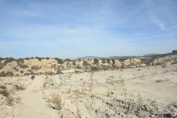 Terreno en Desamparados-Hurchillo-Torremendo