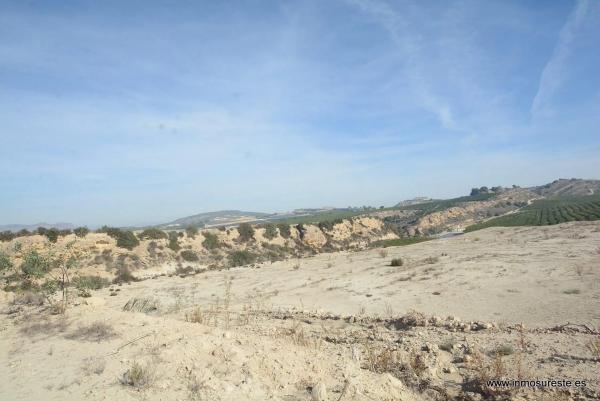 Terreno en Desamparados-Hurchillo-Torremendo