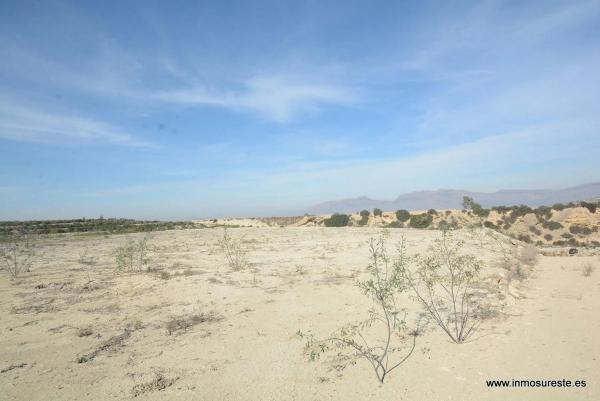 Terreno en Desamparados-Hurchillo-Torremendo