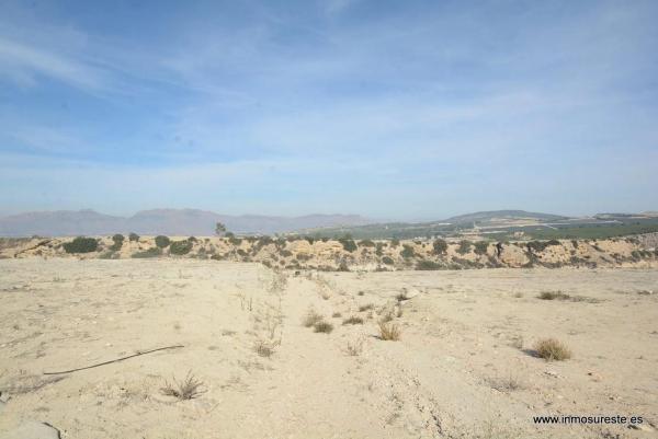 Terreno en Desamparados-Hurchillo-Torremendo