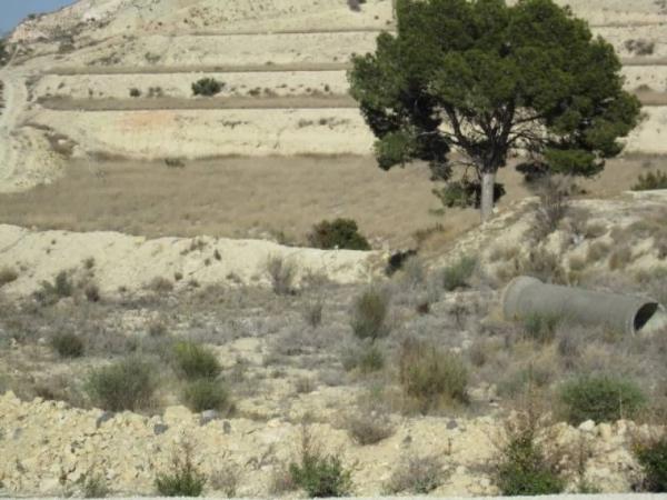 Terreno en Pedanías Oeste