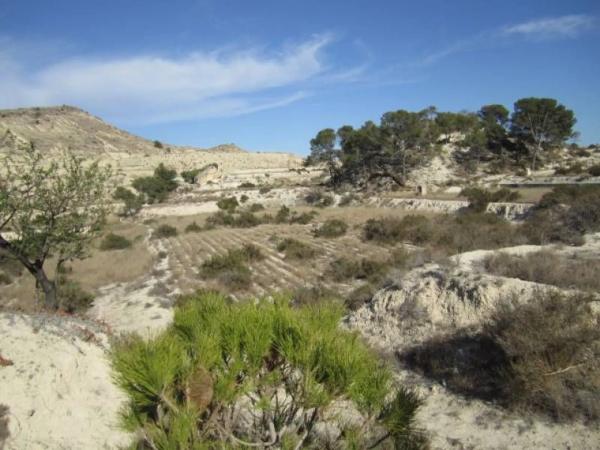 Terreno en Pedanías Oeste