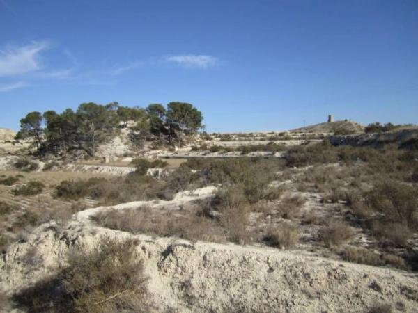 Terreno en Pedanías Oeste