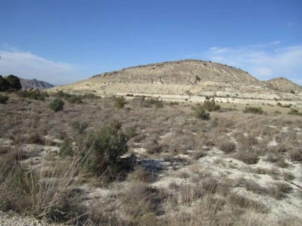Terreno en Pedanías Oeste