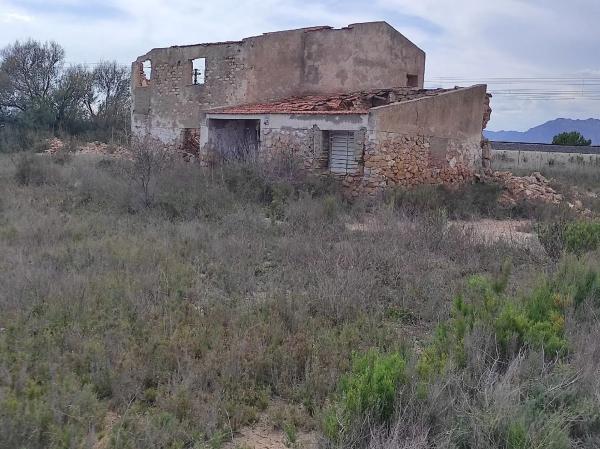 Terreno en Crevillente