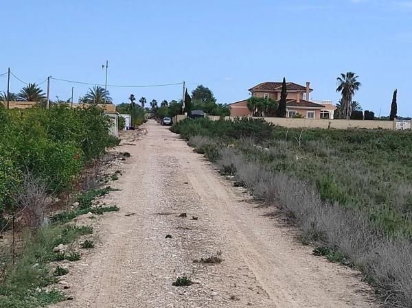 Terreno en Crevillente