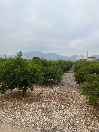 Terreno en Partida la sequia s/n