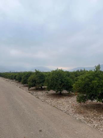 Terreno en Partida la sequia s/n