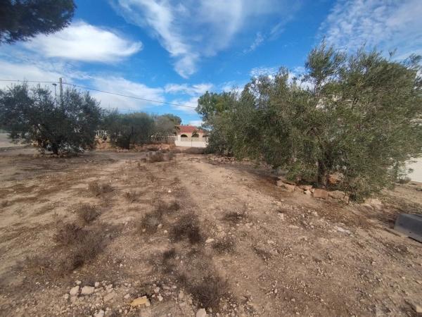 Terreno en abedul s/n