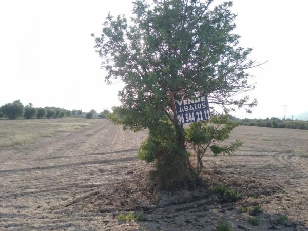 Terreno en Crevillente