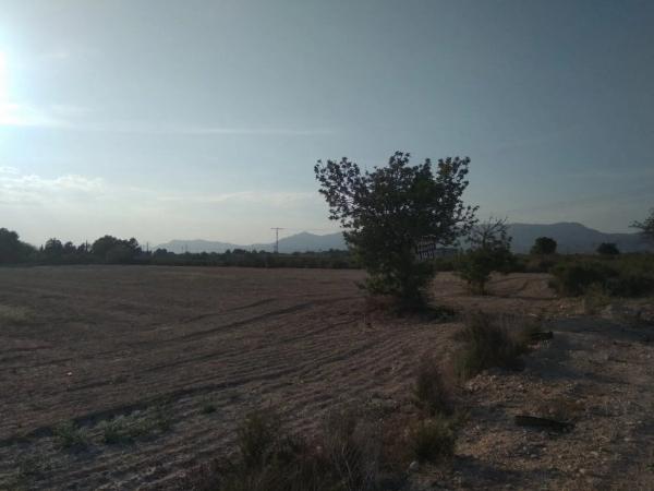 Terreno en Crevillente