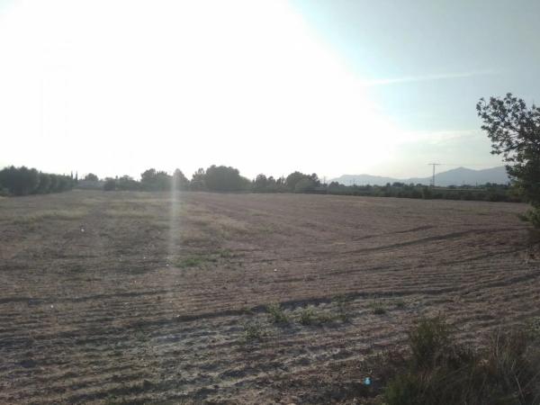 Terreno en Crevillente
