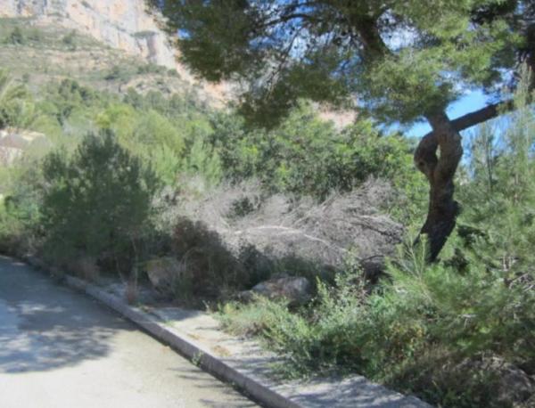 Terreno en Capricornio, 1