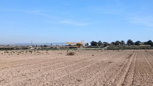 Terreno en La Marina