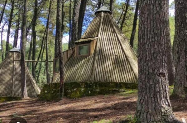 Terreno en Partida de la Pedrechina, Tibi s/n