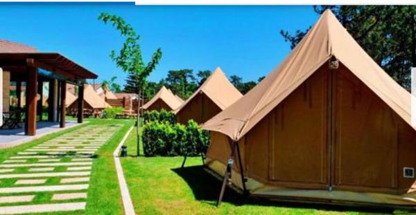 Terreno en Partida de la Pedrechina, Tibi s/n