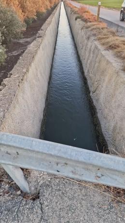 Terreno en Dolores s/n PartidaCebadas