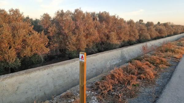 Terreno en Dolores s/n PartidaCebadas