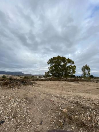 Terreno en Partida del Boch, 171