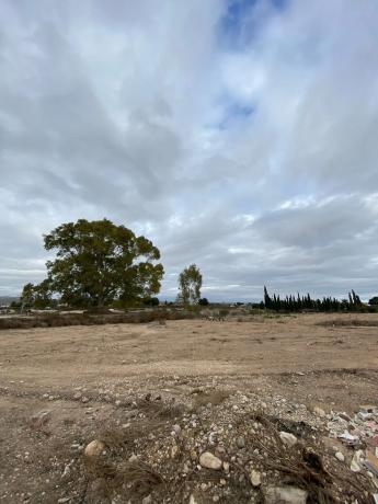 Terreno en Partida del Boch, 171