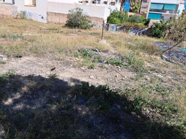 Terreno en Alcalde Felipe Mallol