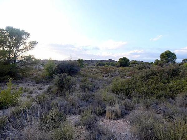 Terreno en via Pista