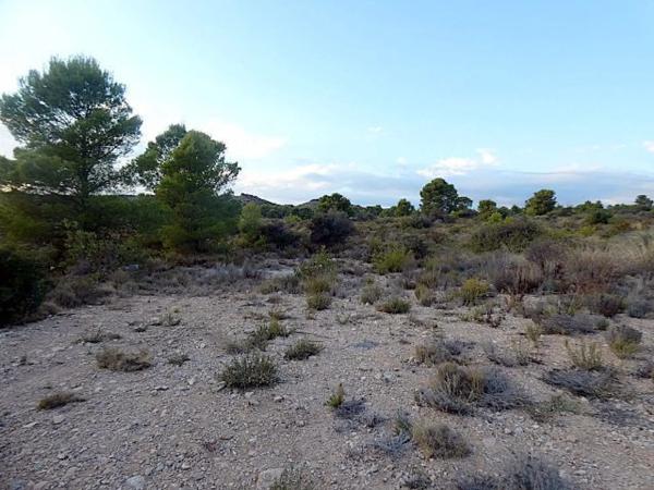 Terreno en via Pista