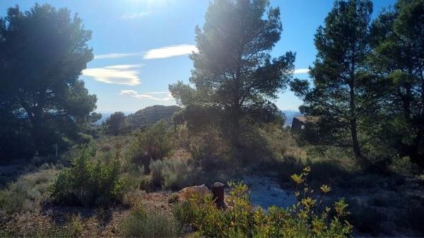 Terreno en via Pista