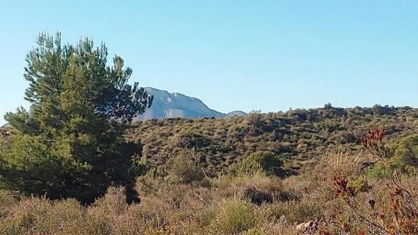 Terreno en via Pista