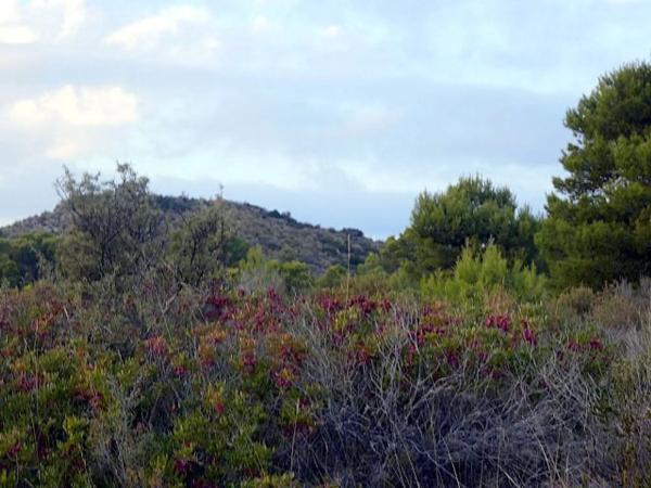 Terreno en via Pista