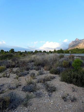 Terreno en via Pista