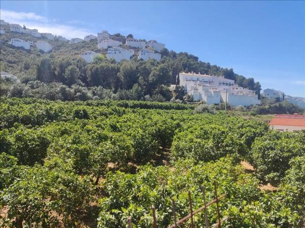 Terreno en avenida Monte Pego-Dénia