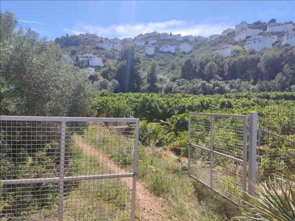 Terreno en avenida Monte Pego-Dénia