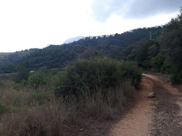 Terreno en avenida Monte Pego-Dénia