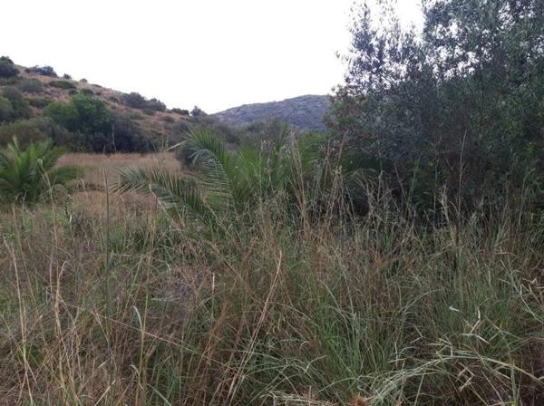 Terreno en avenida Monte Pego-Dénia