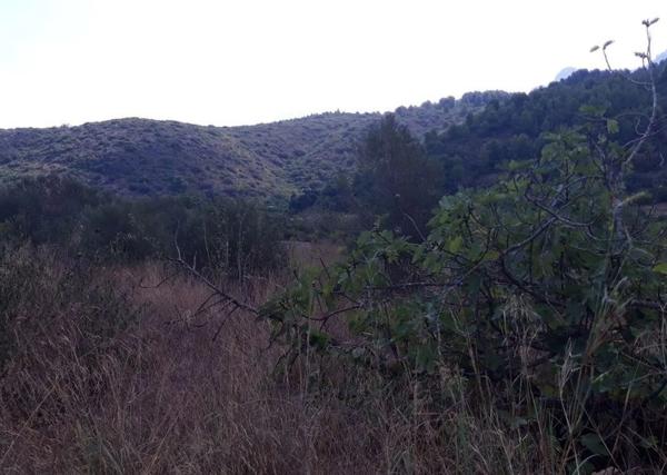 Terreno en avenida Monte Pego-Dénia