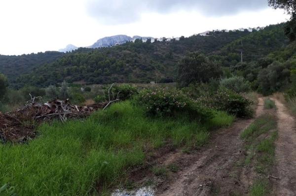Terreno en avenida Monte Pego-Dénia