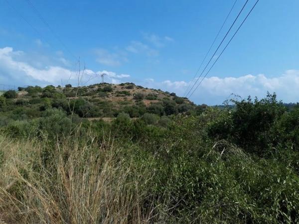 Terreno en avenida Monte Pego-Dénia