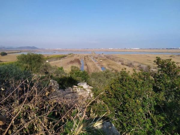 Terreno en avenida Monte Pego-Benimeli
