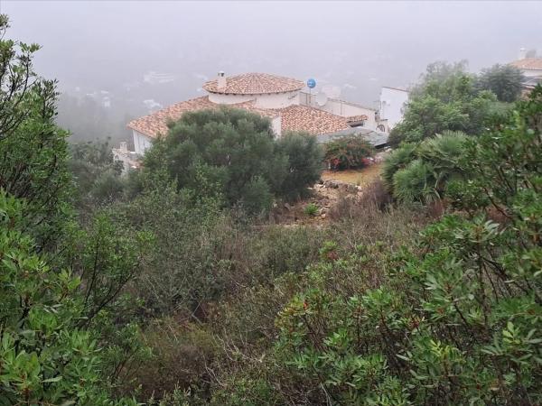 Terreno en avenida Monte Pego-Benimeli