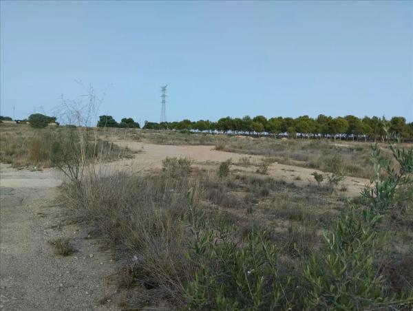Terreno en calle Ébano