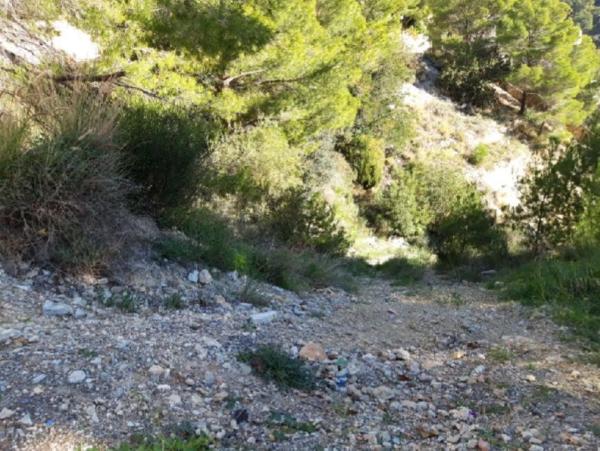 Terreno en calle Suiza