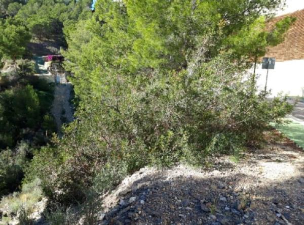 Terreno en calle Suiza