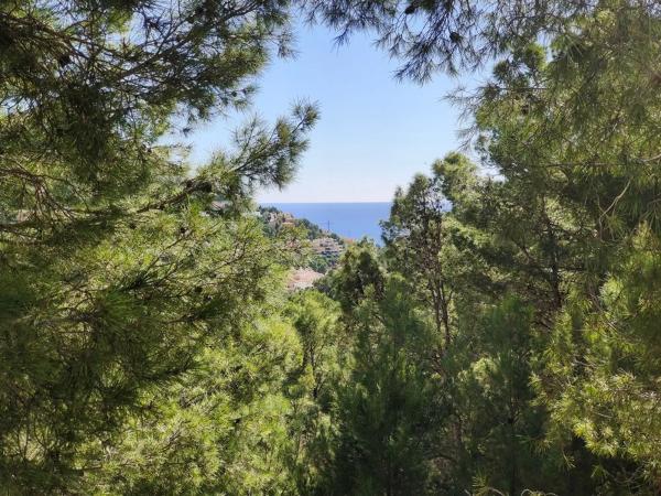 Terreno en calle Suiza