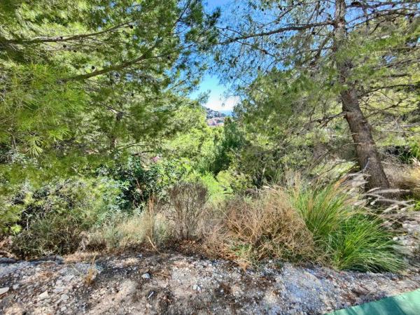 Terreno en calle Suiza