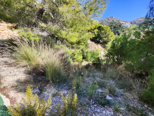 Terreno en calle Suiza