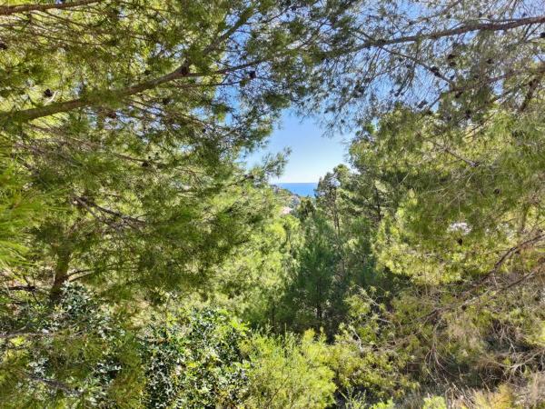 Terreno en calle Suiza