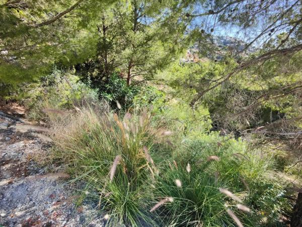 Terreno en calle Suiza