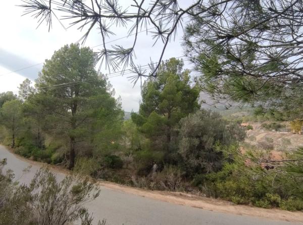 Terreno en Partida Tapia, 77