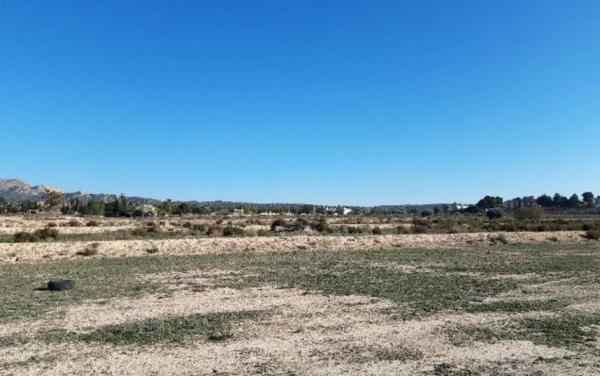 Terreno en Monforte del Cid